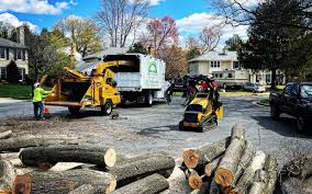 Best Tree Mulching  in Eufaula, OK