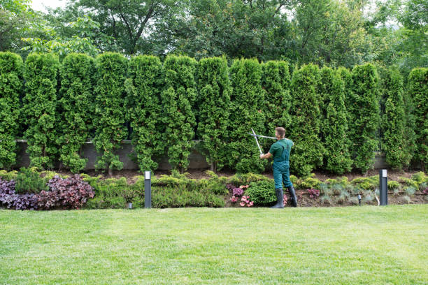Best Tree Maintenance Programs  in Eufaula, OK